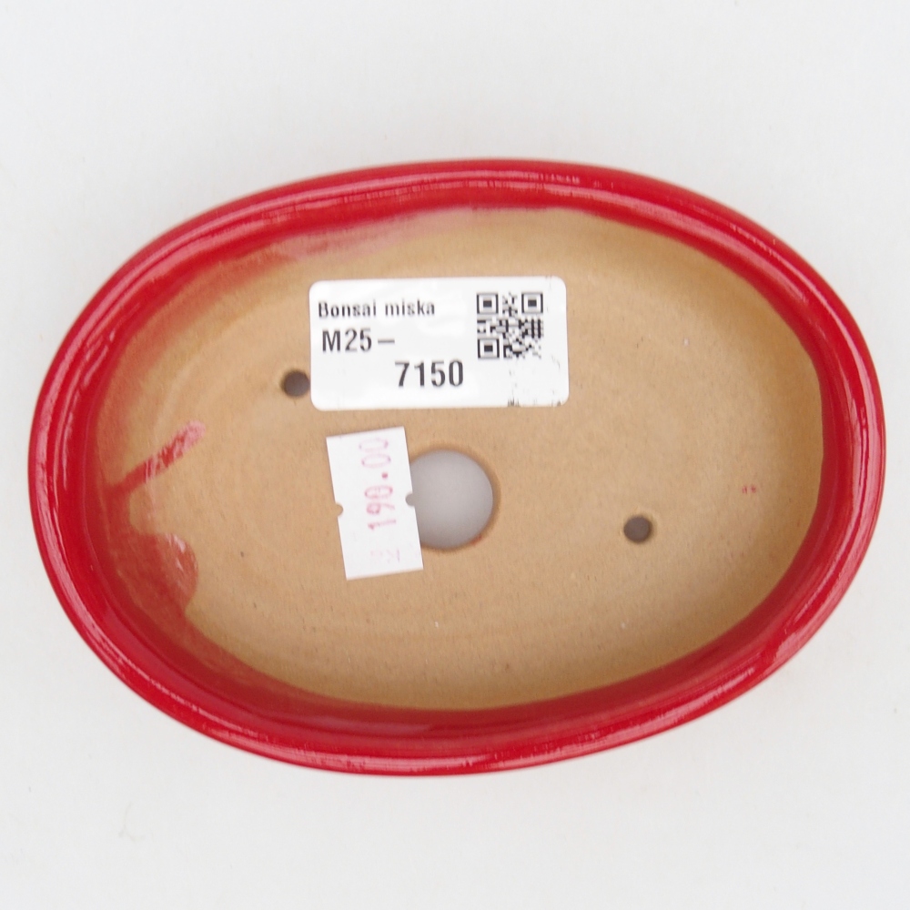 Cuenco bonsái de cerámica 12 x 8,5 x 3 cm, color rojo