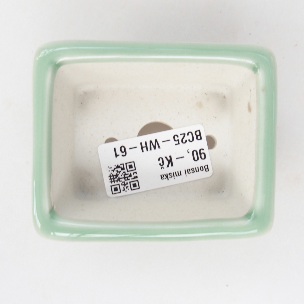Cuenco mini bonsái 8 x 6,5 x 3 cm, verde