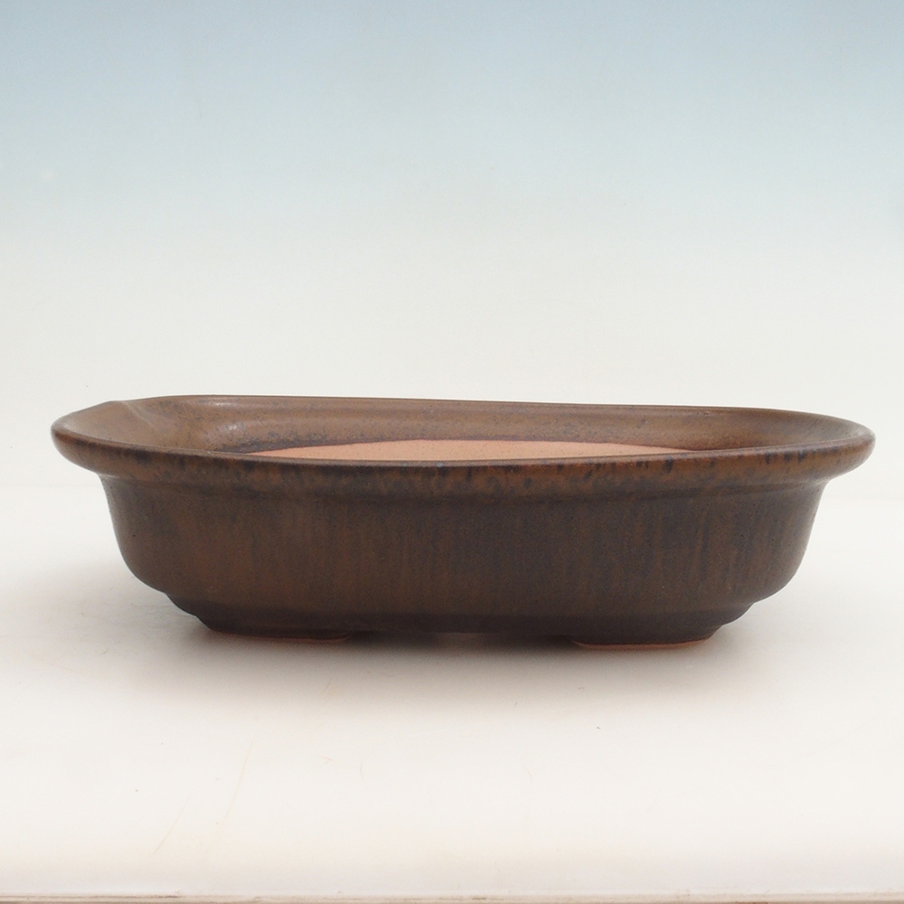 Cuenco bonsái + platillo H25 - 23 x 17 x 5,5 cm - marrón