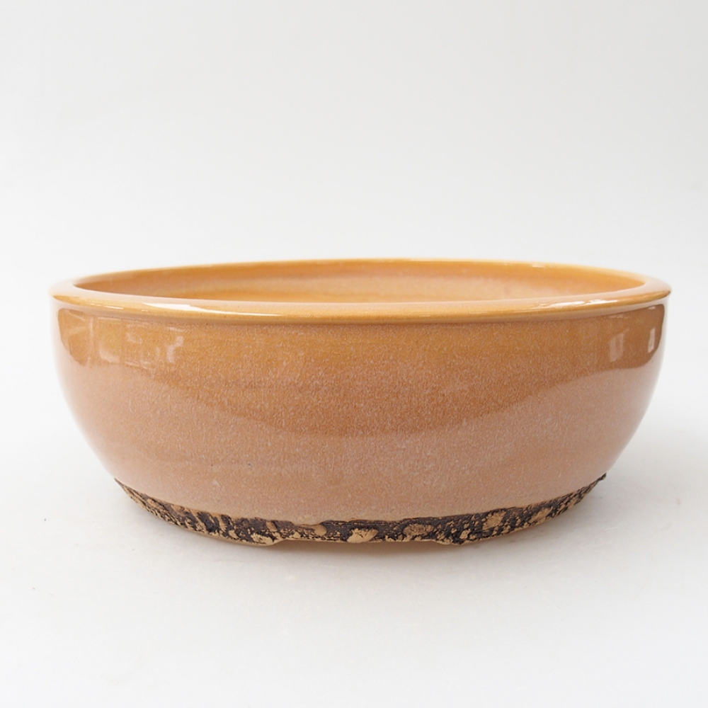 Cuenco bonsái de cerámica 20,5 x 20,5 x 7,5 cm, color beige