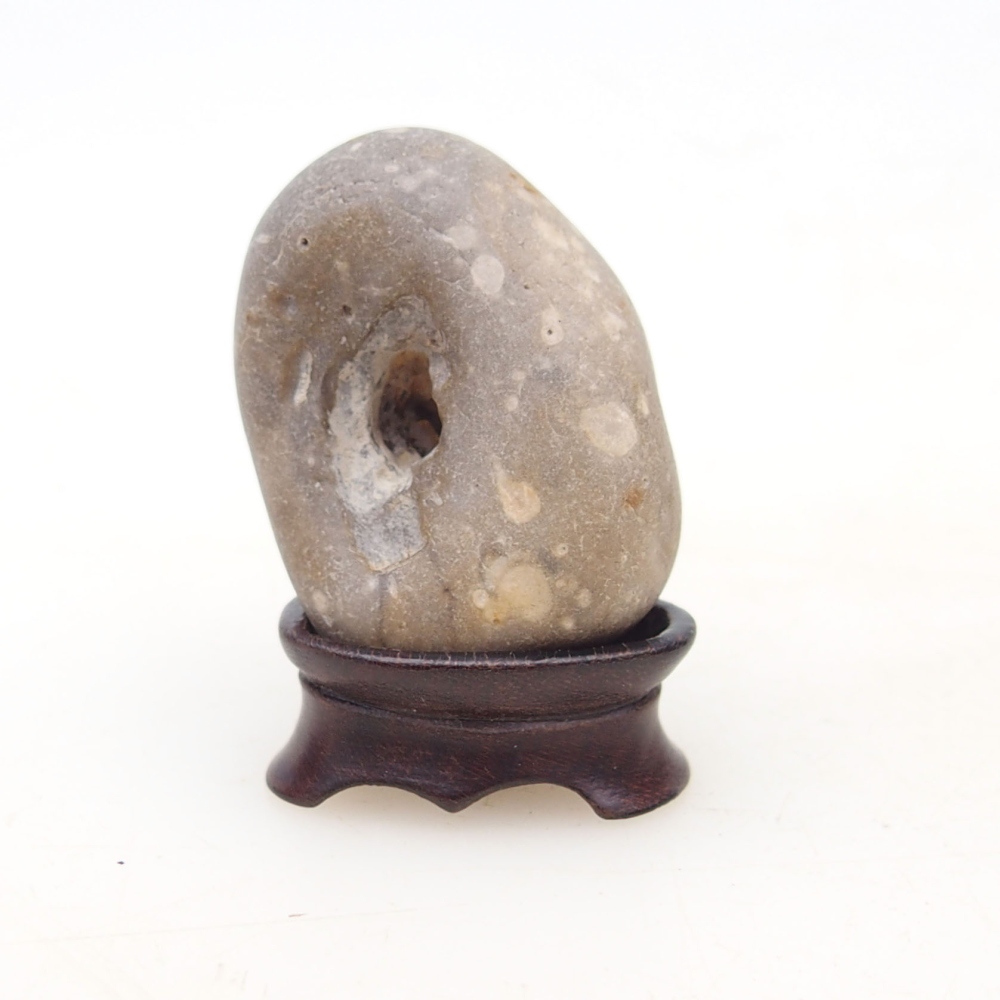 Suiseki - Piedra con DAI (base de madera)