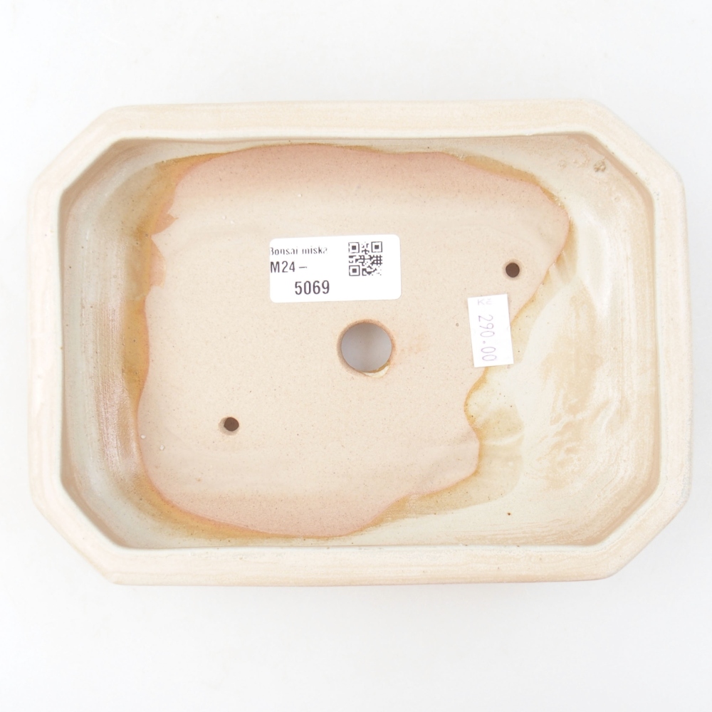 Cuenco bonsái de cerámica 18,5 x 13,5 x 4 cm, color beige