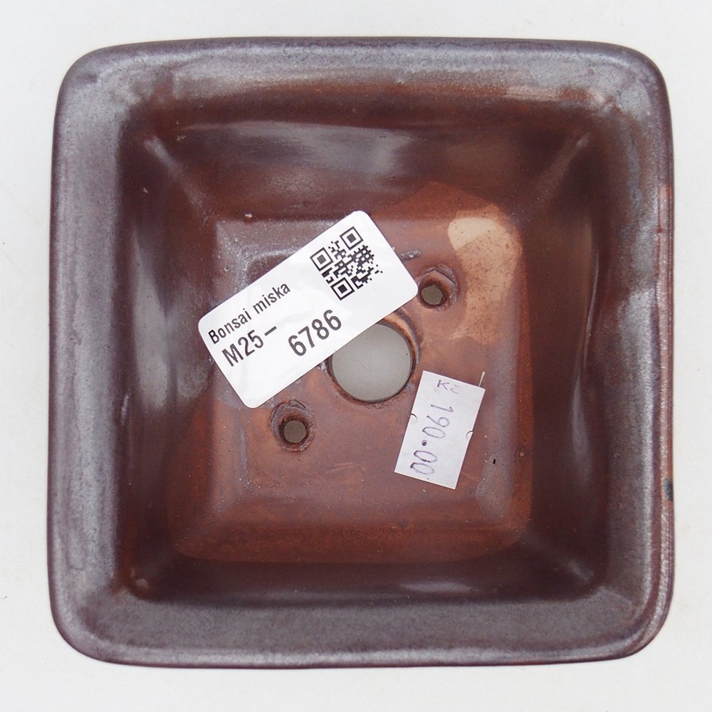 Cuenco bonsái de cerámica 10 x 10 x 6 cm, burdeos