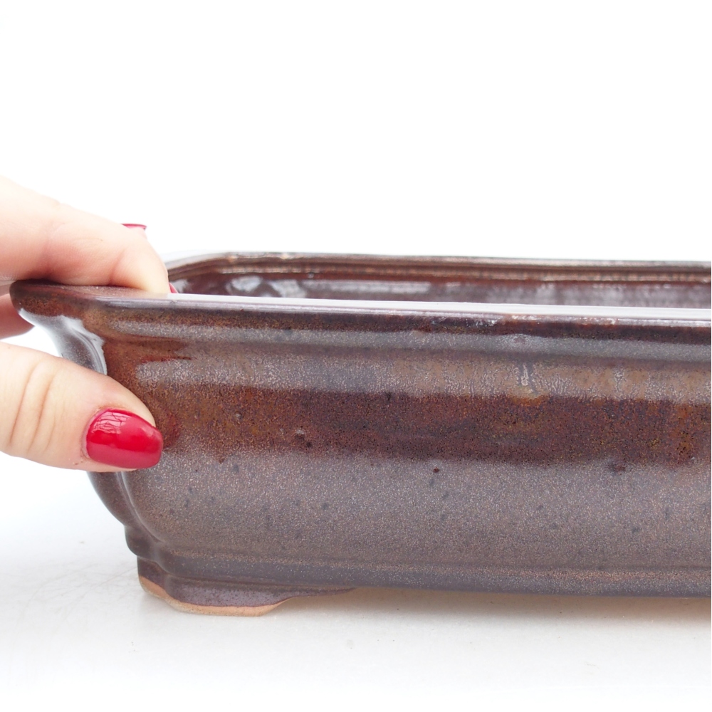 Cuenco bonsái de cerámica 27,5 x 22 x 7 cm, marrón