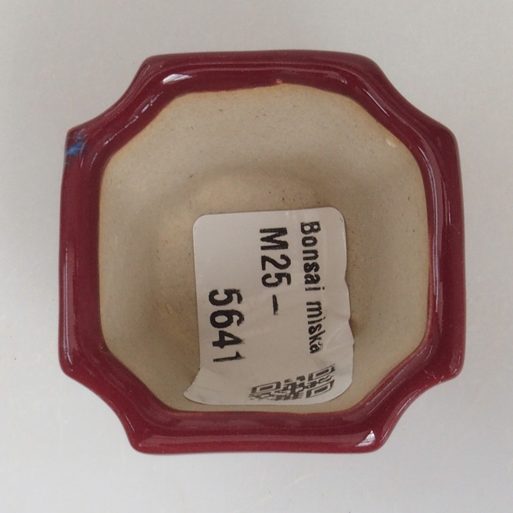 Cuenco mini bonsái 4 x 4 x 4 cm, burdeos