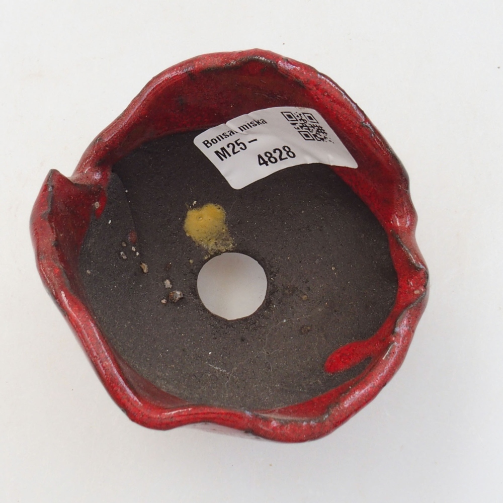 Concha de cerámica 8 x 7 x 6 cm , color rojo