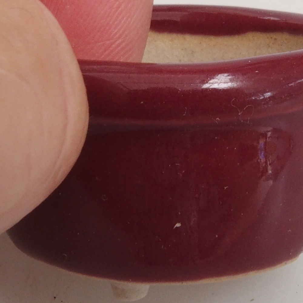 Cuenco mini bonsái 3,5 x 3,5 x 2 cm, burdeos