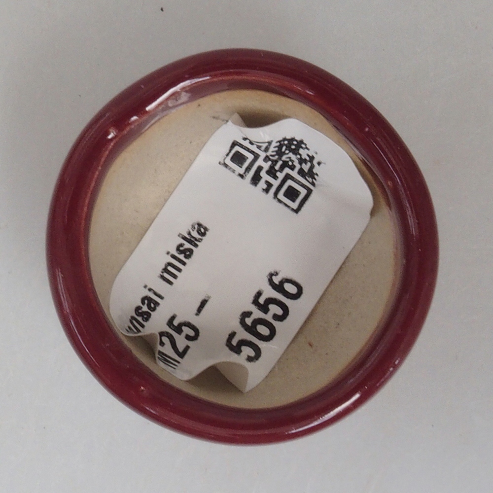 Mini cuenco bonsái 3,5 x 3,5 x 2,5 cm, burdeos