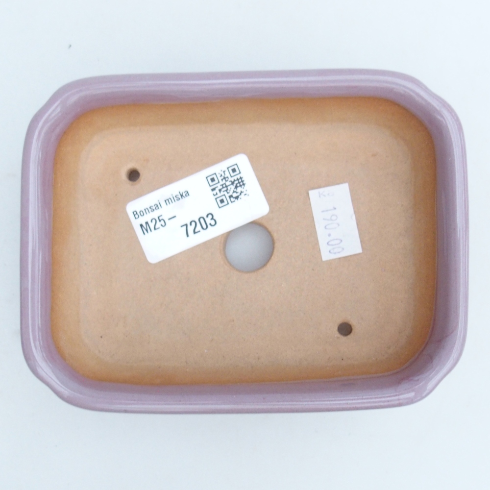 Cuenco bonsái de cerámica 12 x 9 x 3 cm, rosa