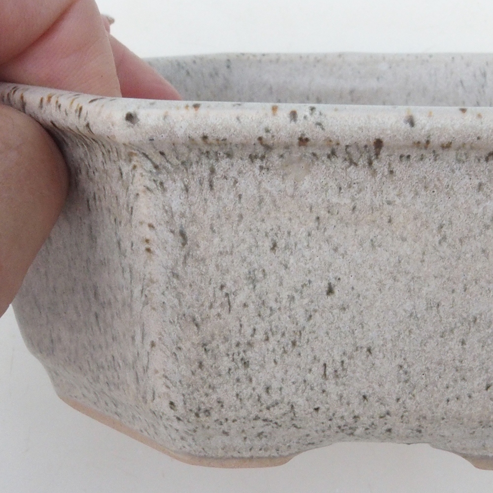 Cuenco para bonsái H13 - 12,5 x 12,5 x 4,5 cm - beige