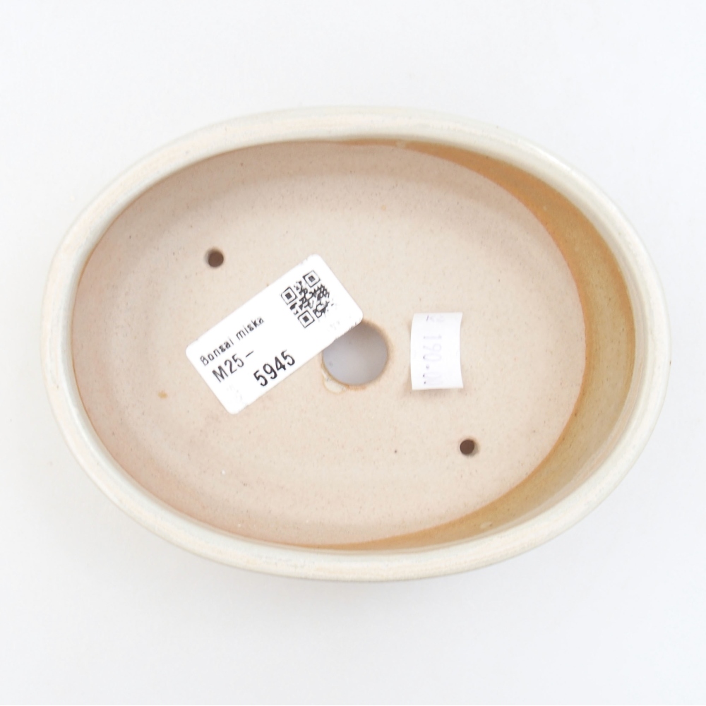 Cuenco bonsái de cerámica 22 x 17 x 5 cm, verde