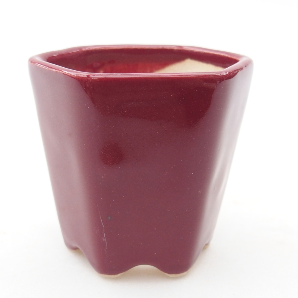 Mini cuenco bonsái 5,5 x 5 x 5 cm, color burdeos