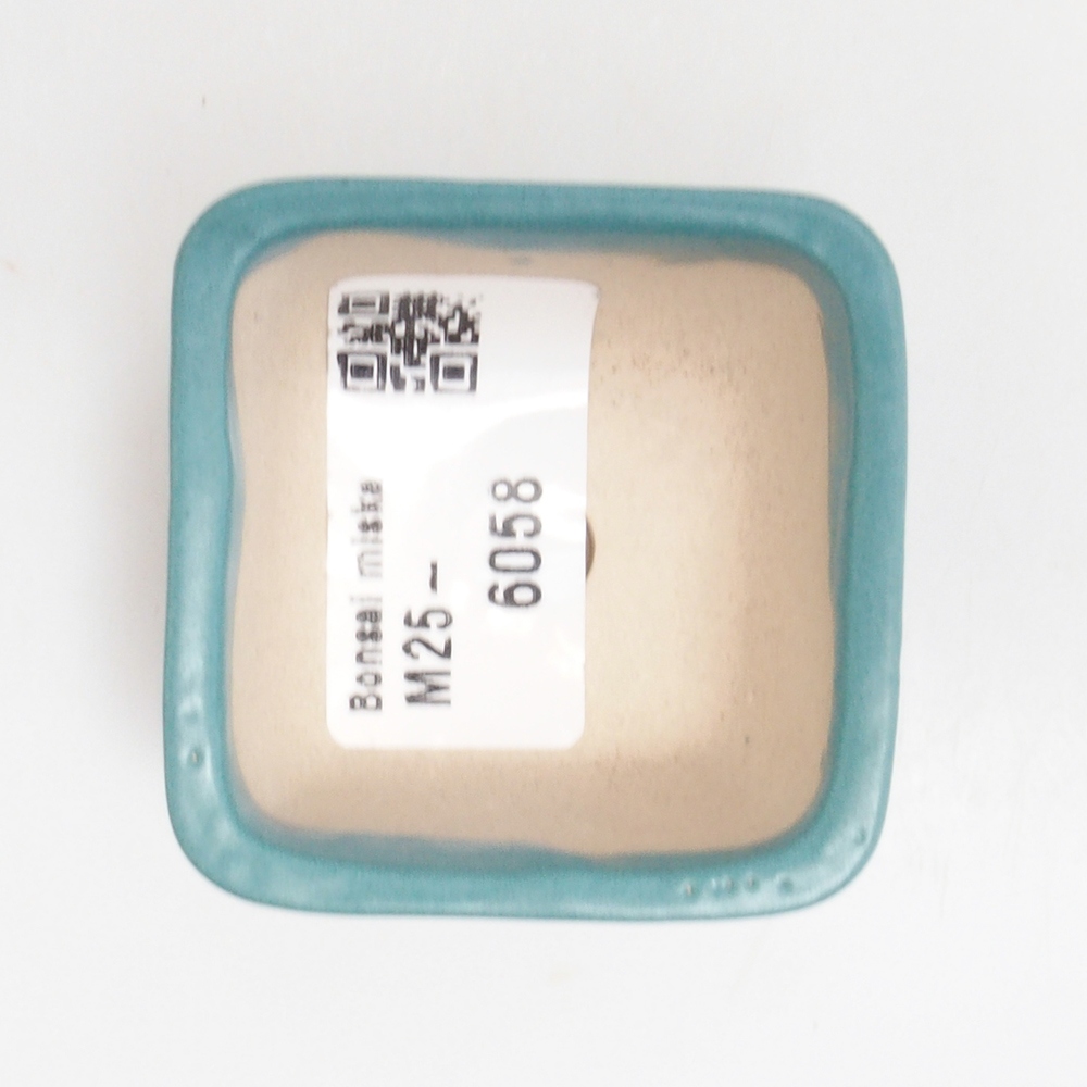 Cuenco bonsái de cerámica 6,5 x 5,5 x 4 cm, color azul