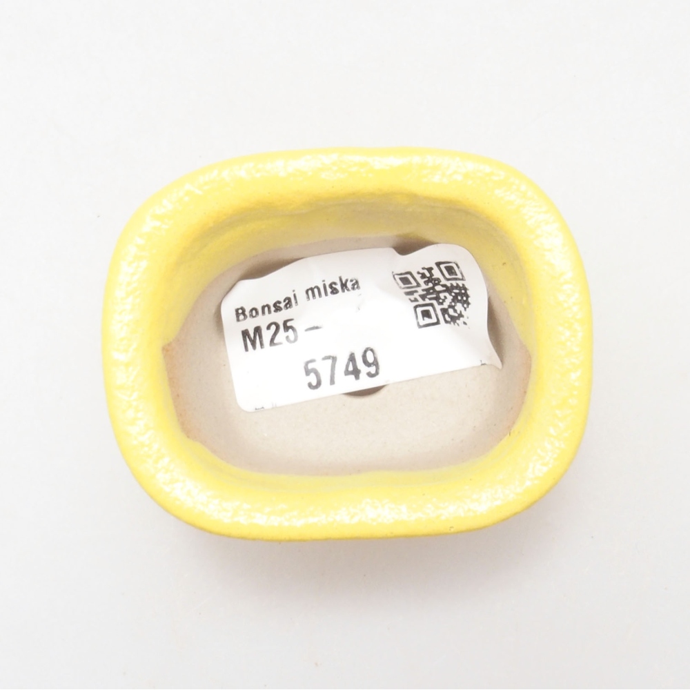 Cuenco bonsái de cerámica 5,5 x 4,5 x 3 cm, amarillo