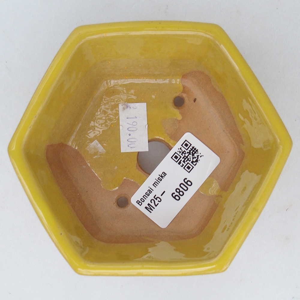 Cuenco bonsái de cerámica 10,5 x 9,5 x 5 cm, amarillo
