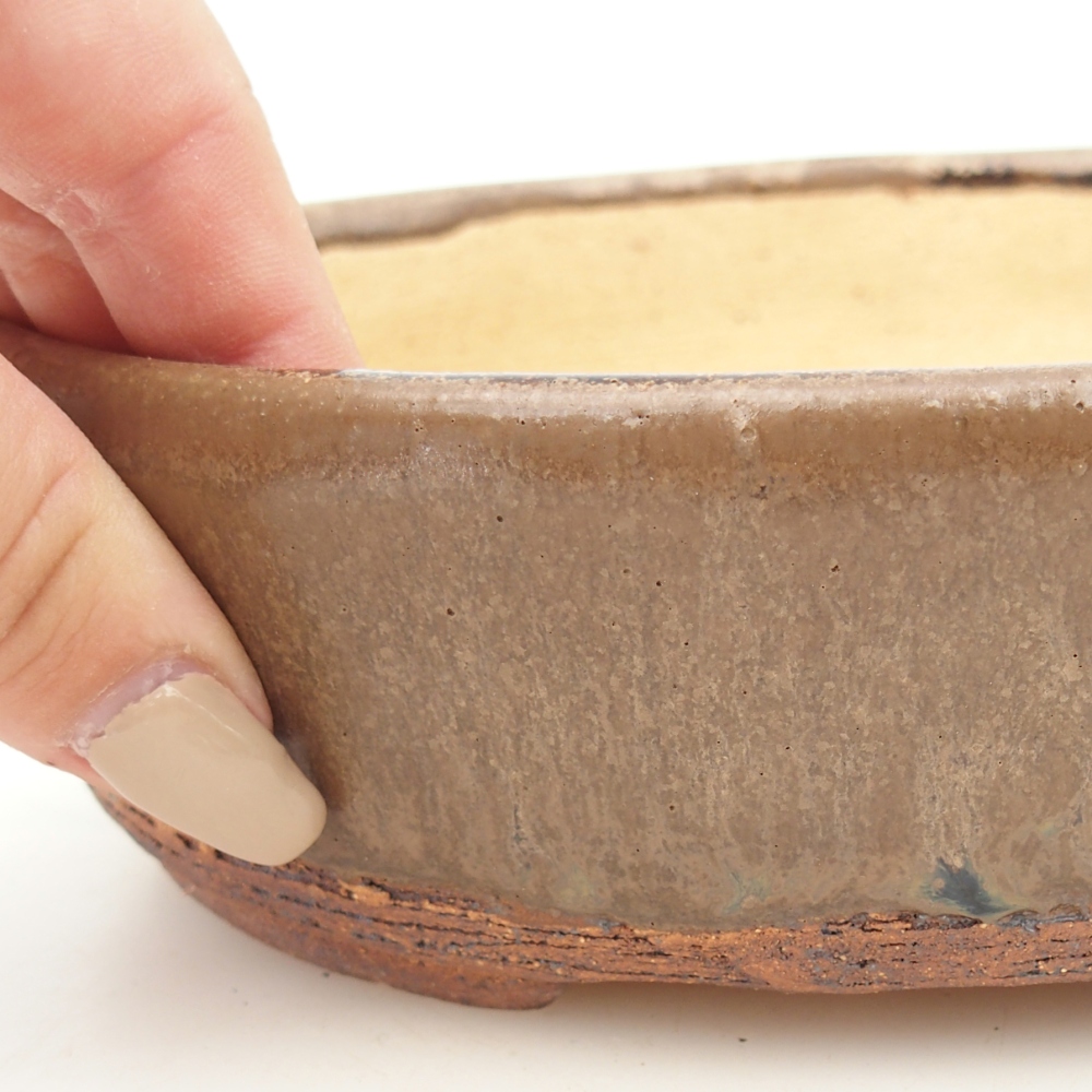 Cuenco bonsái 19,5 x 16 x 6 cm , color marrón