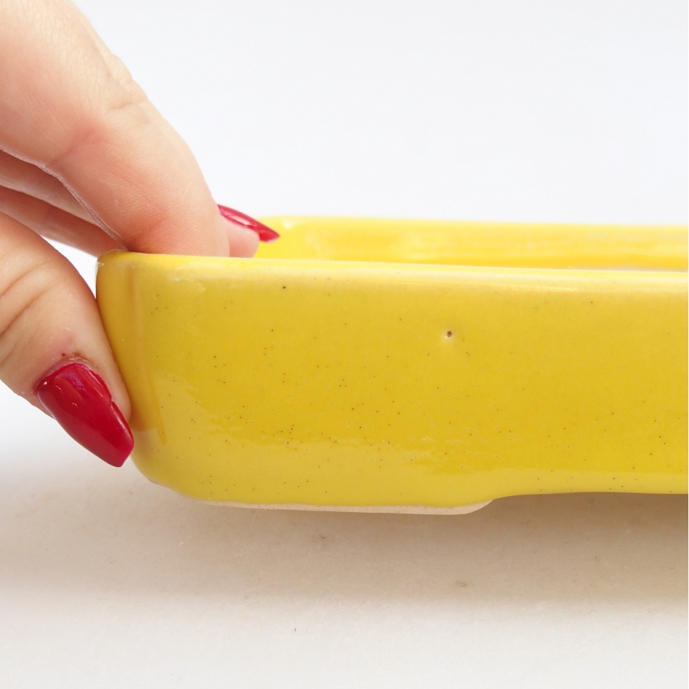 Cuenco bonsái de cerámica 18,5 x 13,5 x 3,5 cm, amarillo