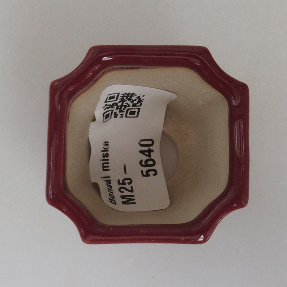 Cuenco mini bonsái 4 x 4 x 4 cm, burdeos