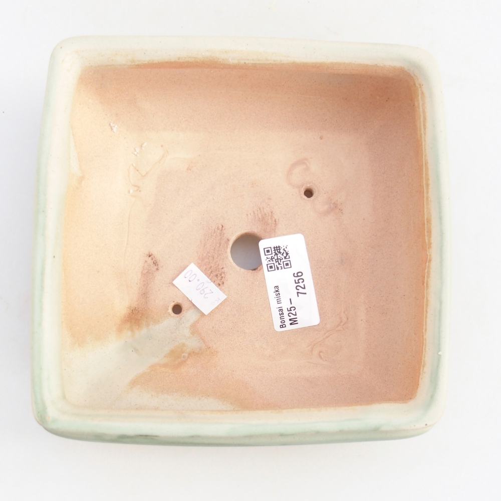 Cuenco bonsái de cerámica 15,5 x 15,5 x 6 cm, verde