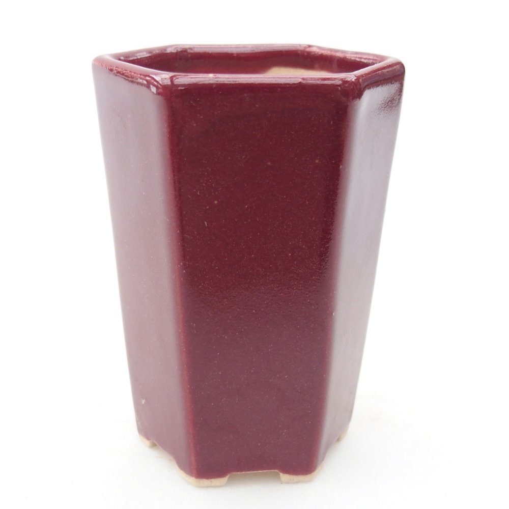 Mini cuenco bonsái 5 x 4,5 x 6,5 cm, burdeos