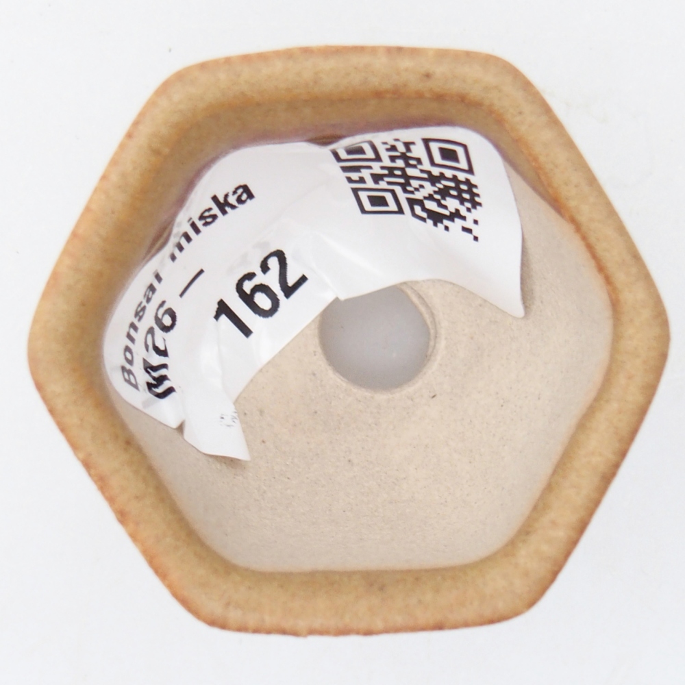 Cuenco mini bonsái 4 x 3,5 x 3 cm, marrón