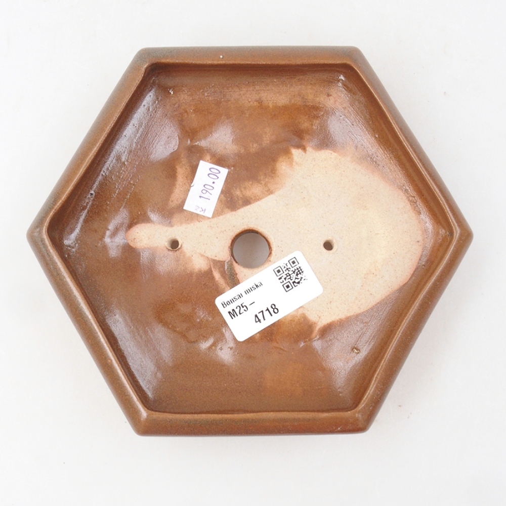 Cuenco bonsái de cerámica 17 x 15 x 4 cm, marrón