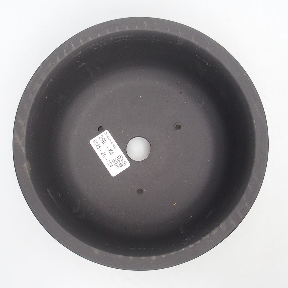 Bol 20 x 20 x 9 cm negro