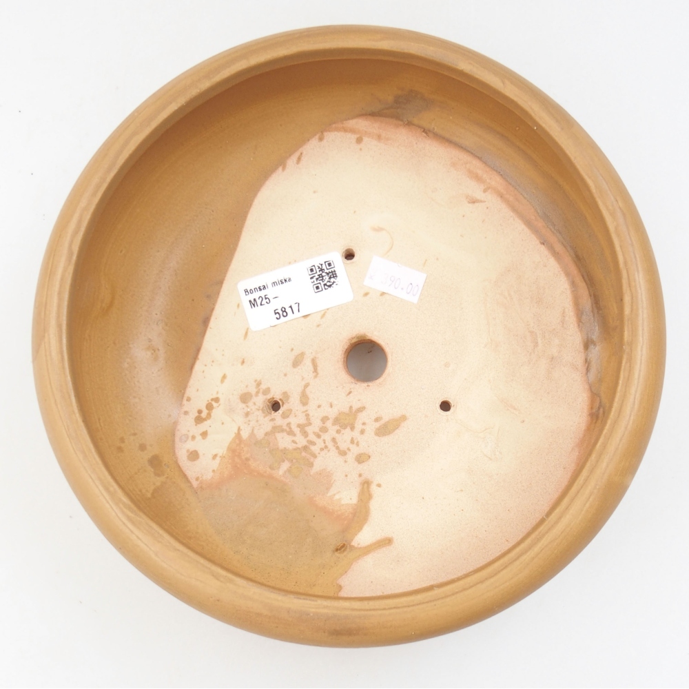 Cuenco bonsái de cerámica 21 x 21 x 7,5 cm, color beige