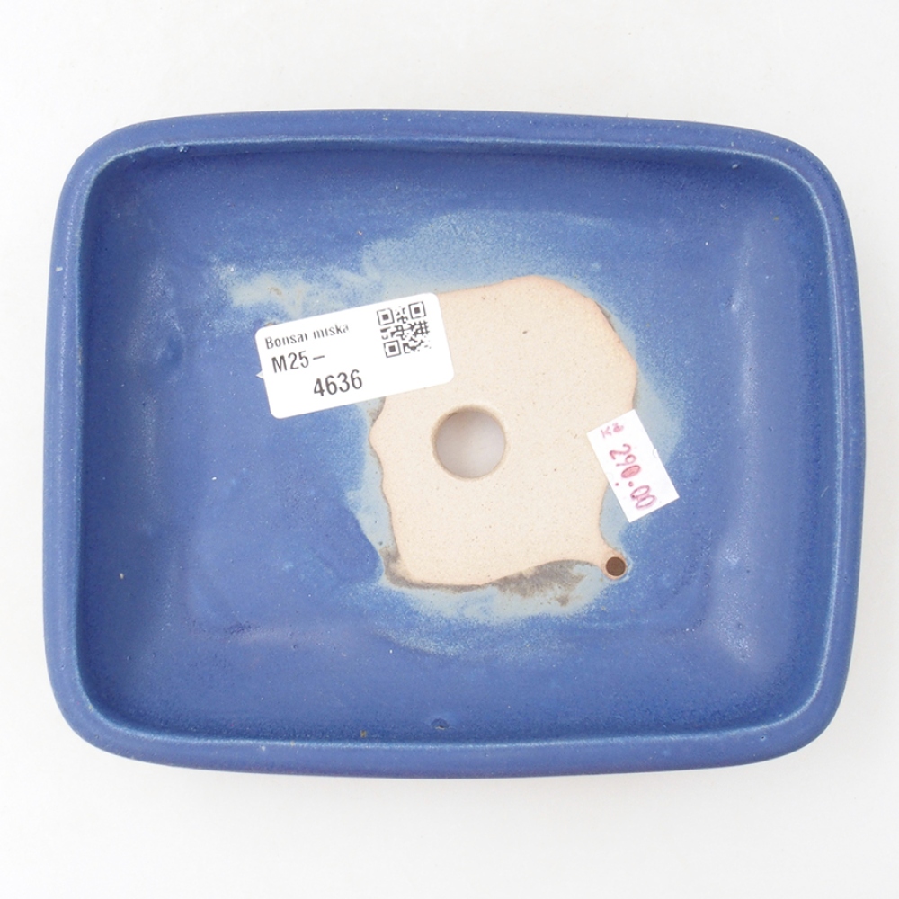 Cuenco bonsái de cerámica 17 x 13,5 x 3,5 cm, color azul