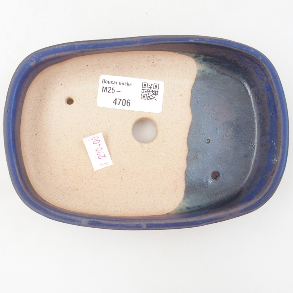 Cuenco bonsái de cerámica 16 x 11 x 3,5 cm, color azul
