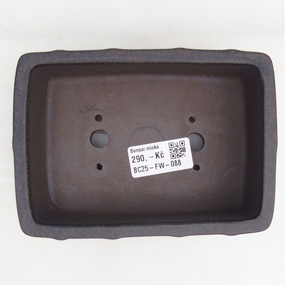 Cuenco bonsái de cerámica 15 x 10,5 x 5 cm, color ocre parduzco