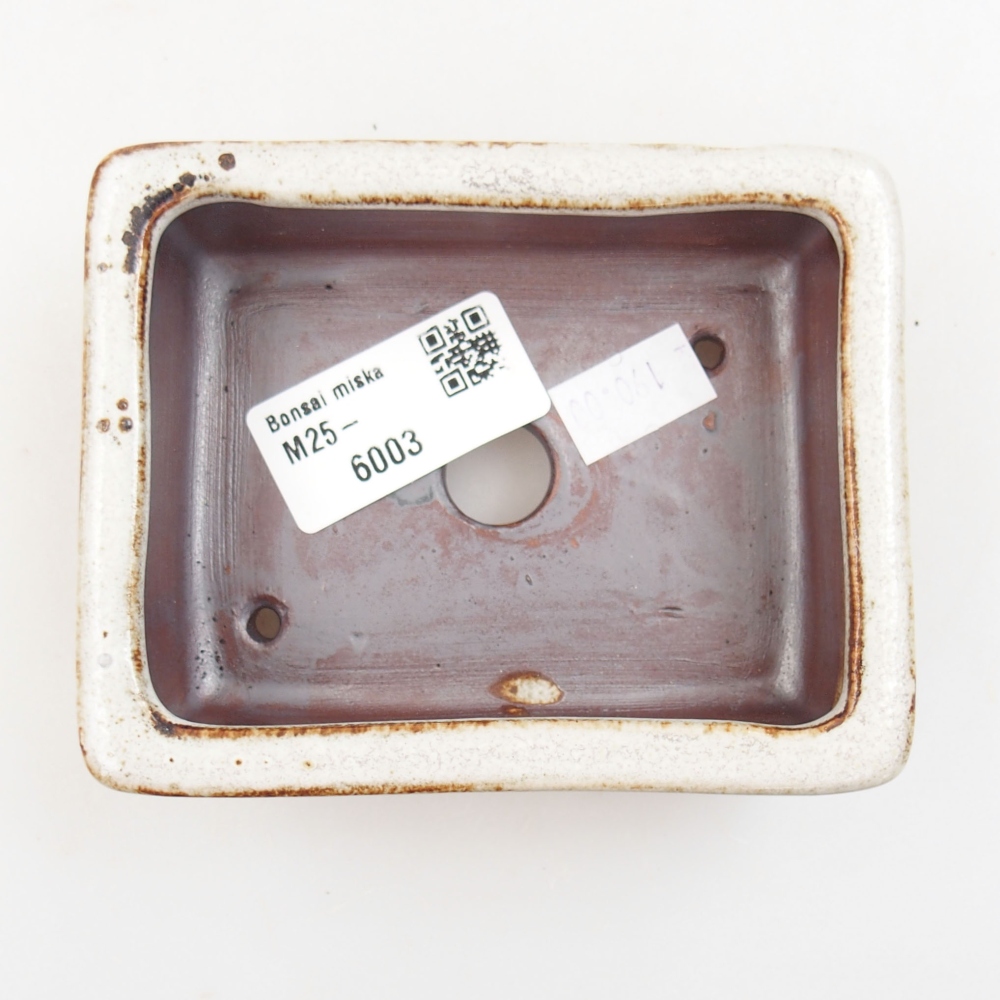 Cuenco bonsái de cerámica 22 x 17 x 5 cm, verde