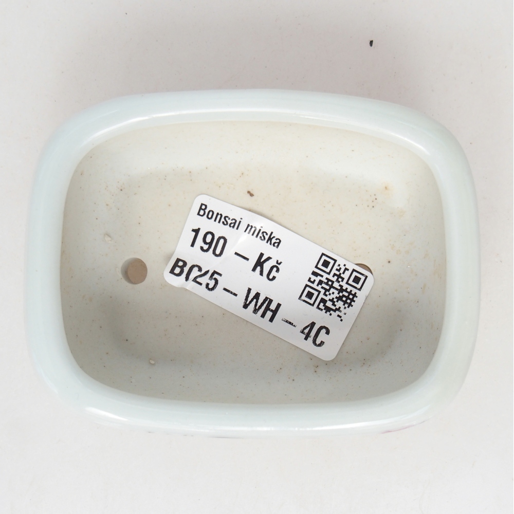 Mini cuenco bonsái 8 x 6 x 3 cm, blanco