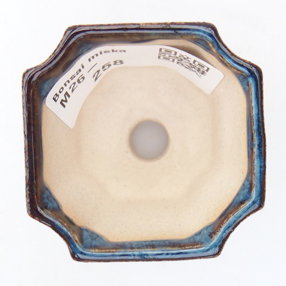 Cuenco mini bonsái 4,5 x 4,5 x 4 cm, color azul