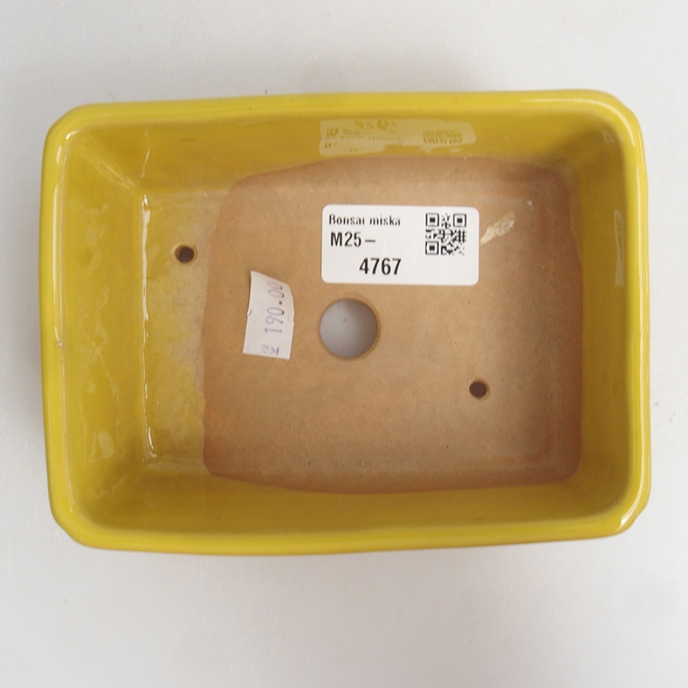 Cuenco bonsái de cerámica 13 x 10 x 5 cm, amarillo