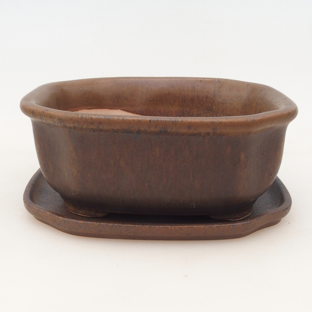 Bonsai cuenco + platillo H31 - marrón