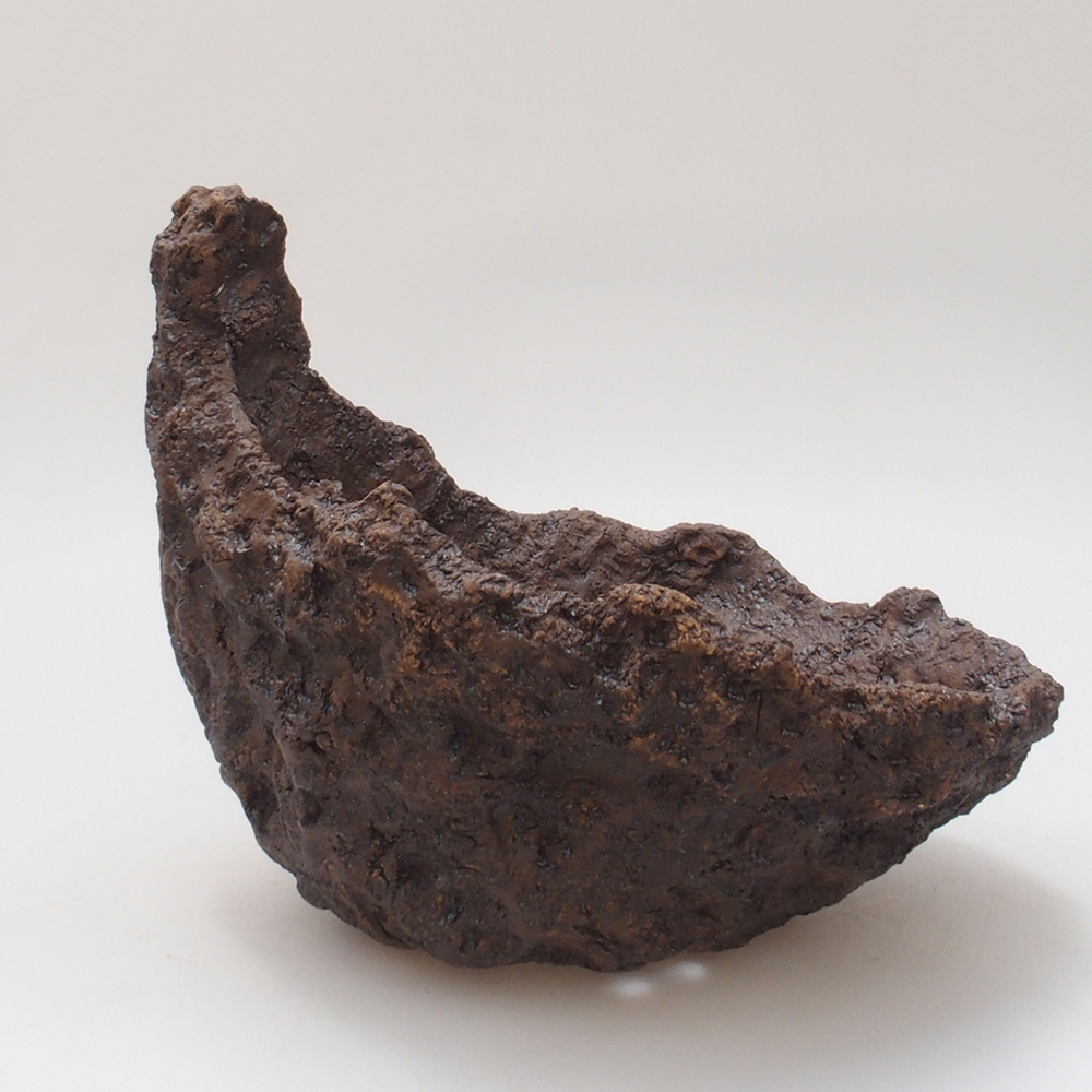 Concha de cerámica 18 x 17 x 17,5 cm , color marrón