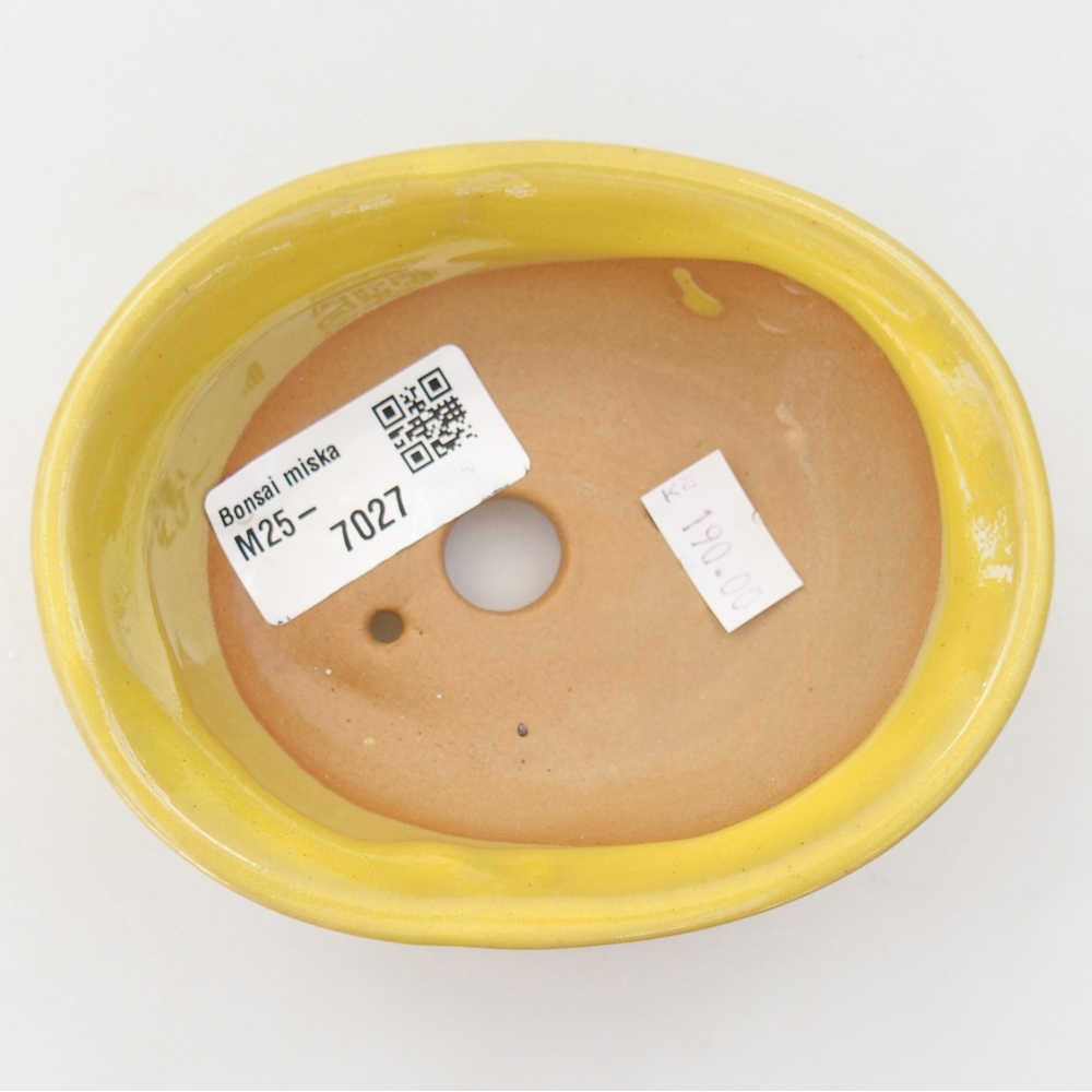 Cuenco bonsái de cerámica 11 x 9 x 4 cm, amarillo