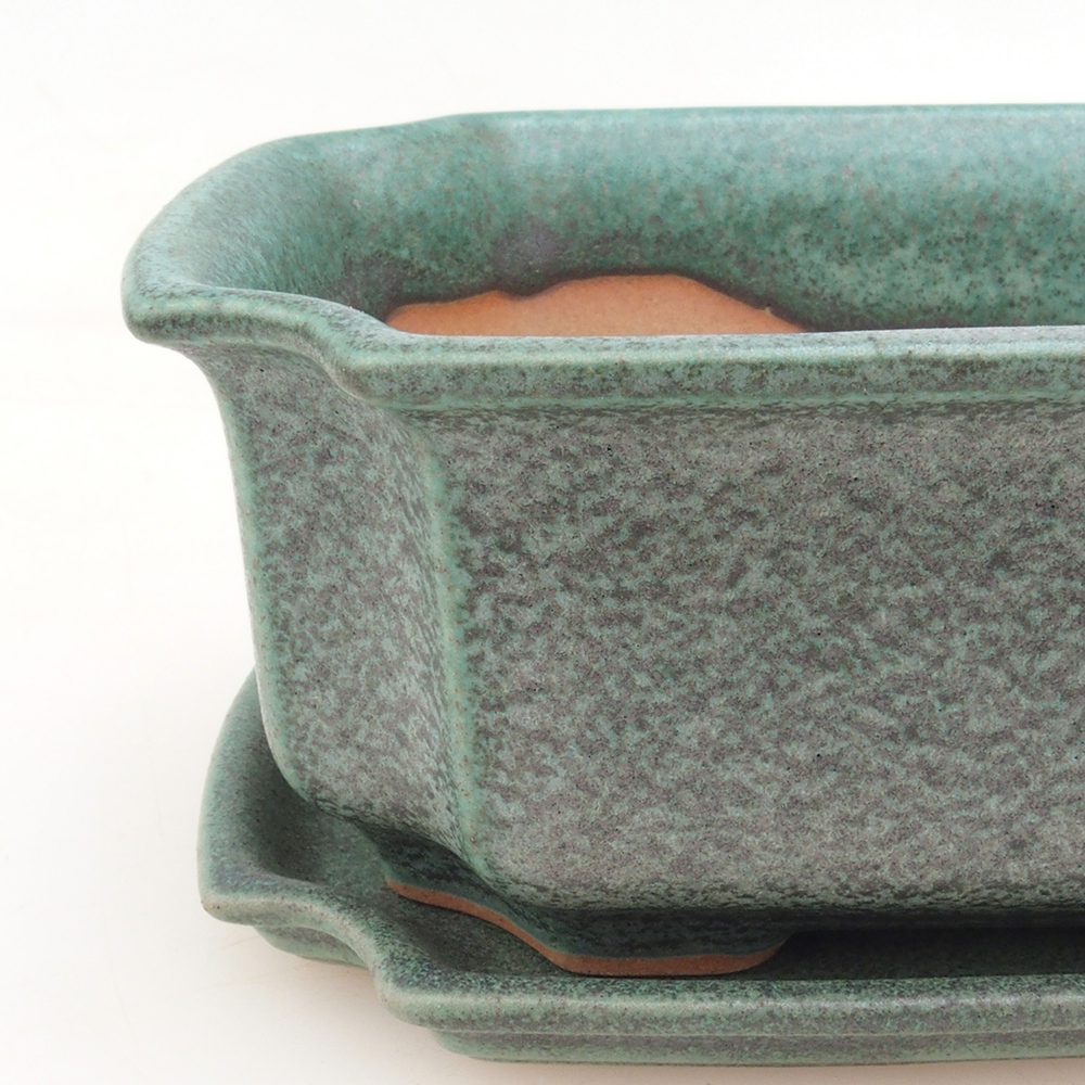 Bonsai cuenco + platillo H01 - verde