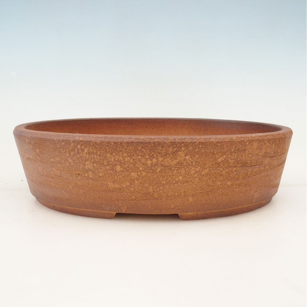Cuenco bonsái 32 x 25 x 8,5 cm , color marrón