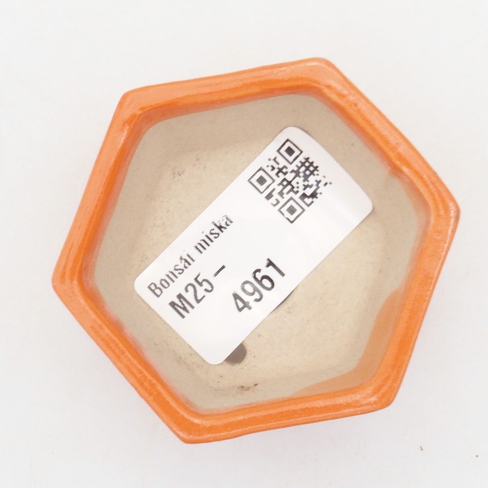 Mini cuenco bonsái 6 x 5 x 2,5 cm, naranja
