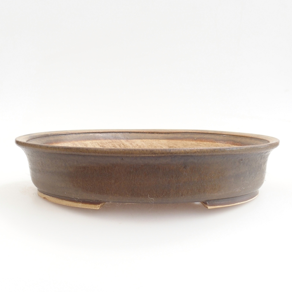 Cuenco bonsái de cerámica 25,5 x 23 x 5,5 cm, marrón