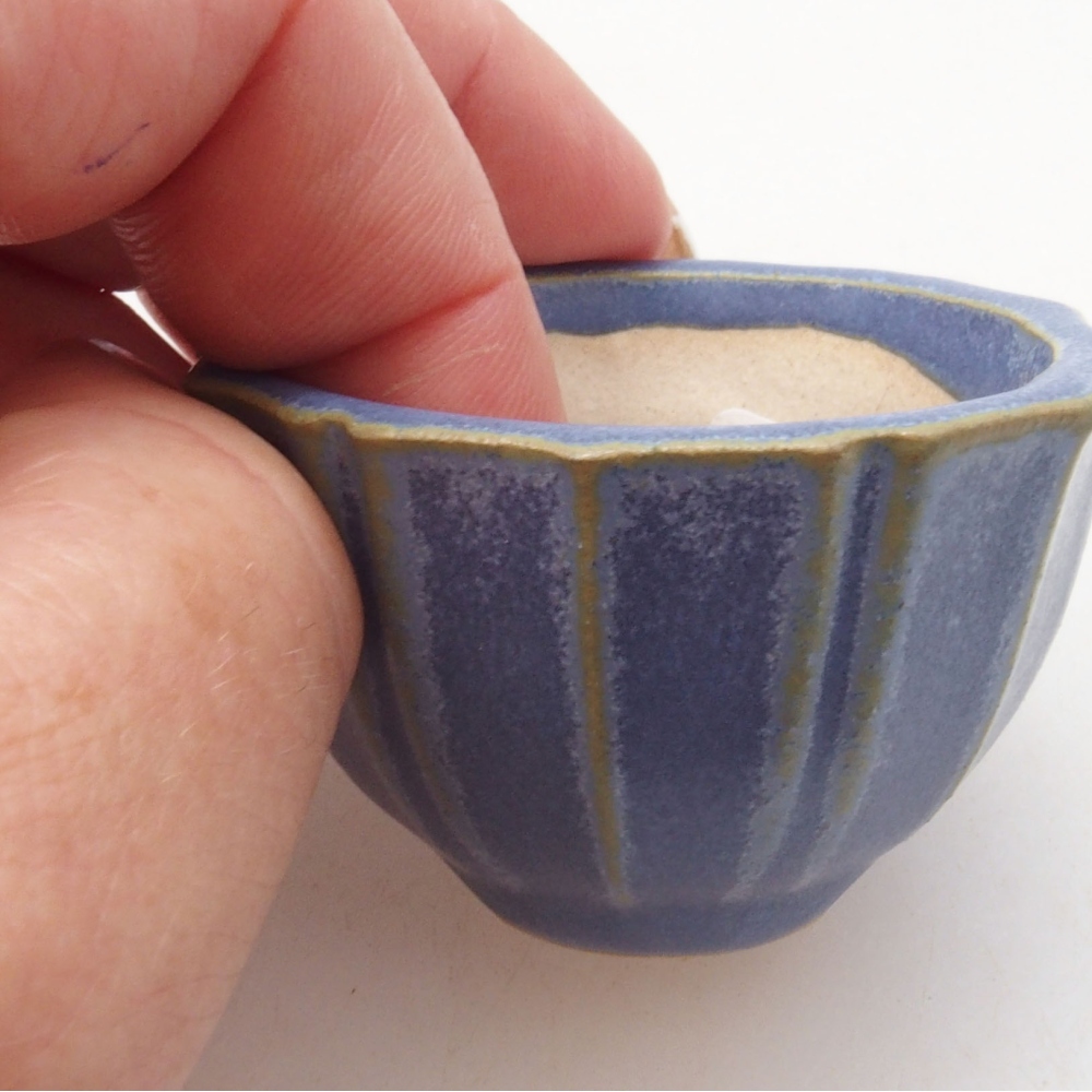 Mini cuenco bonsái 5 x 5 x 3 cm, azul