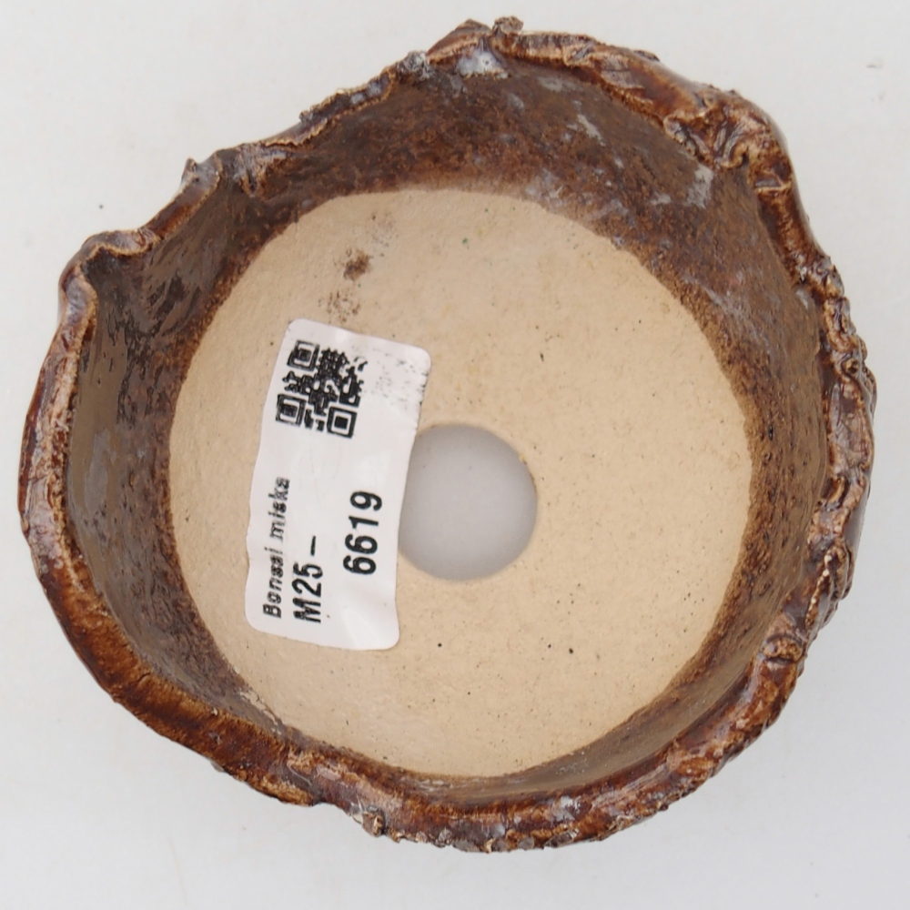 Concha de cerámica 8,5 x 8,5 x 7 cm , color marrón