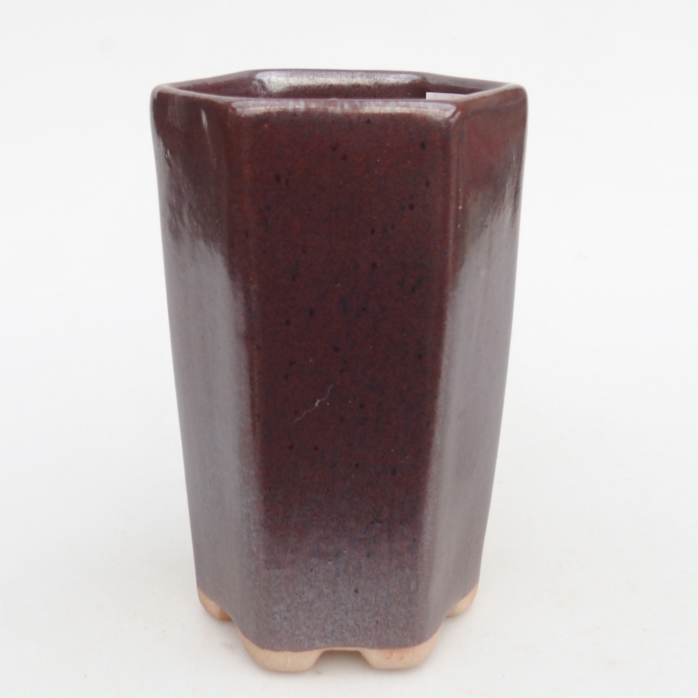 Cuenco bonsái de cerámica 10 x 8,5 x 14,5 cm, burdeos