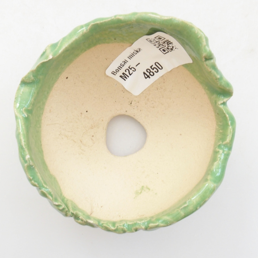 Concha de cerámica 7 x 7 x 5,5 cm , color verde