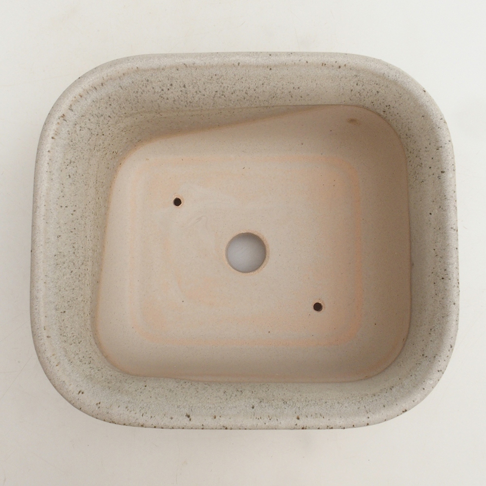 Cuenco bonsái H36 - 17 x 15 x 7,5 cm - beige