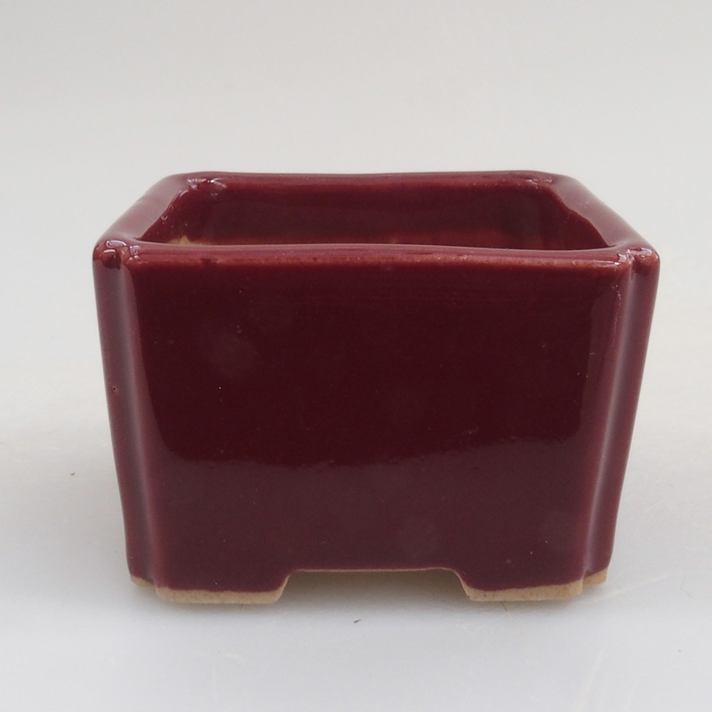 Cuenco mini bonsái 4,5 x 4,5 x 3 cm, burdeos