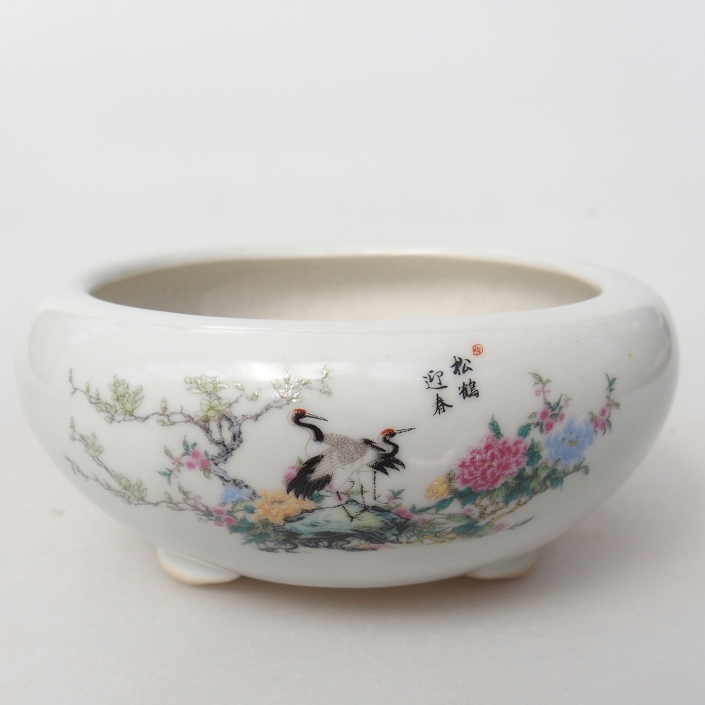 Cuenco bonsái de cerámica 10 x 10 x 5 cm, color blanco