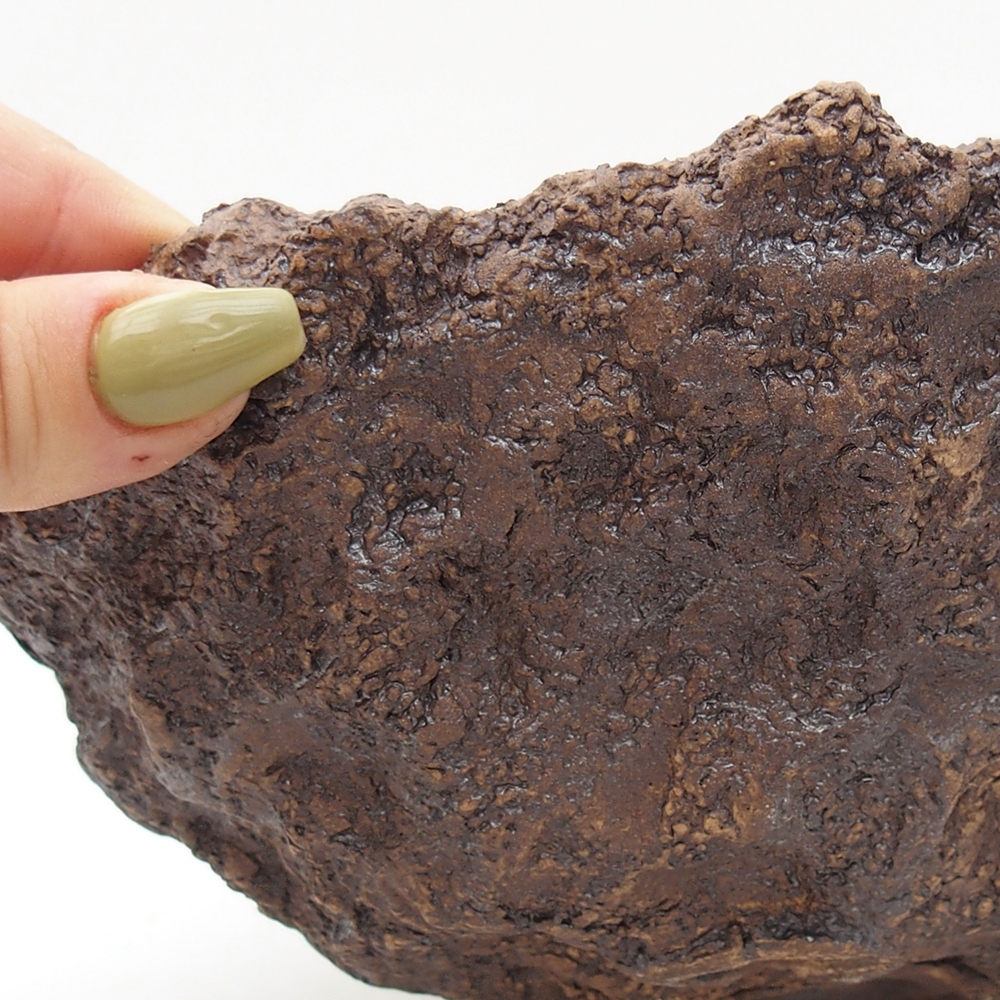 Concha de cerámica 18 x 17,5 x 16 cm , color marrón